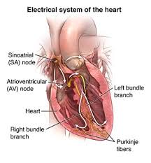 Some heart attacks strike suddenly, but many people have warning signs and symptoms hours, days or weeks in advance. Electrocardiogram Johns Hopkins Medicine