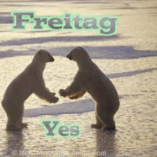 Diese bilder könnt ihr bei whatsapp, jappy, facebook. Freitag Mckrampi 100 Free