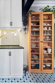 Ayrıca dolapta kalan gıdalar bozulmasalar dahi bazen kuvvetli kokularını bulundukları kaptan dışarıya yayabiliyorlar ve bu kokular buzdolabına. Sadece Boya Ile Mutfakta Buyuk Degisim Evim