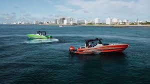 Image result for Rouge Marina 1987 UMM