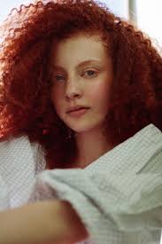 Ford Models Minas Gerais