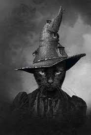 H E N R I E T T A Halloween Ideas Pinterest Cat Witches And Cat Art Halloween Cat Halloween Art