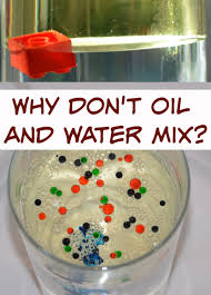 Why Don T Oil And Water Mix Science Questions For Kids Science Questions For Kids Science Questions Oil And Water Experiment