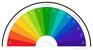 subtil dowsing chart ph scale