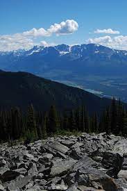 Check spelling or type a new query. Hermit Thrush Cabin Valemount Bc Canada Almost Bananas