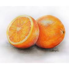Orange Art Fruit Art Drawings Color Pencil Drawing Pencil Drawing Tutorials