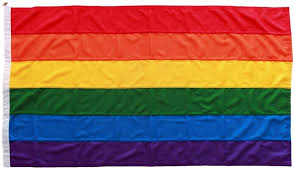 You call yourself a flag expert? Rainbow Lgbt Flag Pride Flags South Coast Flagpoles