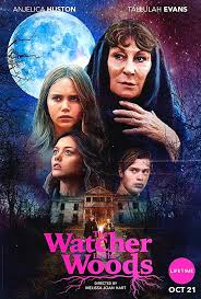 Pin By Zack Smith On Film Wishlist In 2020 Full Movies Online Free Into The Woods Movie Streaming Movies Free