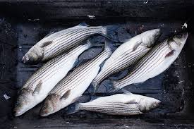 We did not find results for: Living On Earth Science Note Fish E Dna