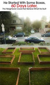 If Your Front Or Back Garden Consists Of A Sparse Bare Lawn Why Not Take A Look At What This Guy Did To Hi Canteiro De Jardim Ideias De Quintais Veggie