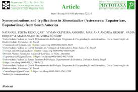 Image result for Stomatanthes