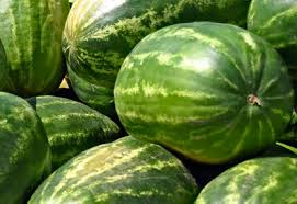 How To Grow Watermelon Organically Planet Natural