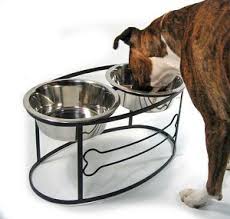 Black Bone Raised Double Feeder Dog Bowl Stand Dog Bowls Iron Dog Bed