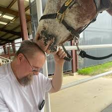 Victory Therapy Center