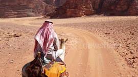 The mechanism of camel bite injuries, which are usually severe, are complex including penetrating and crushing injuries by the camel jaw and blunt injuries when patients are picked up and thrown away. Newsflare Hilarious Moment When Angry Camel Throws An Indian Man To The Ground