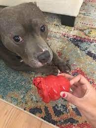 Your dog has to move the sliders to figure out which ones hide the treats. Thank You Reddit For Suggesting The Kong Toy But He Still Managed To Destroy It Pitbulls