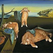 Abacaxi Adli Kullanicinin Cat Art Panosundaki Pin Kedi Sanati Illustrasyon Posterleri Kedi