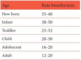 Respiration Physical Examination Nursing