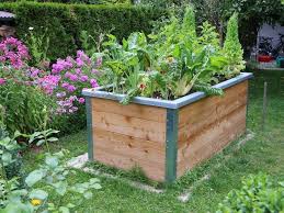 Hochbeet Selber Bauen Schritt Fur Schritt Anleitung Hochbeet Hochbeet Holz Hochbeet Selber Bauen