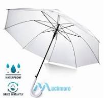 Clear Dome Umbrella