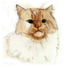 Kelinci merupakan hewan yang memiliki ciri warna putih dan coklat. Lukisan Tangan A5 Hewan Peliharaan Gambar Sketsa Kucing Anjing Binatang Watercolor Pajangan Shopee Indonesia