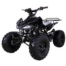 As with cars, there are fast quads and slow quads, it just depends on how the. Tao Tao 125 Atv Ata 125 Cheetah Taotao Cheetah 125cc Online