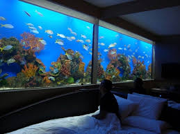 14 Splendid Diy Aquarium Furniture Ideas To Beautify Your Home Cuethat Fish Tank Design Fish Tank Fresh Water Fish Tank