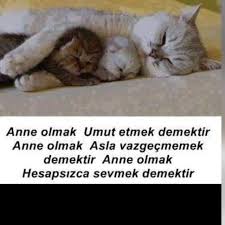 Vefakarlik Guzel Soz Anne Olmak Mizah