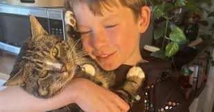 These cats aren't feral, says the Street Cat Alliance, just misunderstood