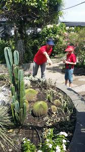 Several food plants can also be spotted. The Secret Garden Of 1 Utama Bandar Utama Malaysian Blogger Lifestyle Parenting And Beauty Beyond Motherhood