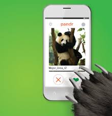 Descripción de unlock panda ayuda al panda a desbloquear y alcanzar la puerta (puerta) para mover el jardín.awesome puzzle game: Researchers Unlock The Secrets Of Panda Sex Portland Monthly