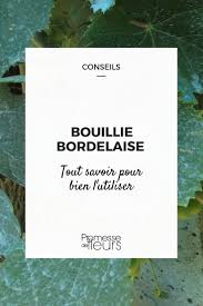 Le monilia, la verticilliose, la. Bouillie Bordelaise Et Autres Traitements A Base De Cuivre Au Jardin