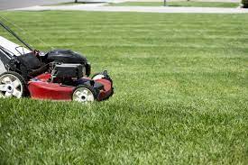 For grass to grow you need three basic elements, heat, water and nutrients. How Often Should You Mow The Lawn The Turfgrass Group Inc