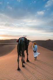 A slow motion shot of a young muslim bedouin man walking in the desert with a camel. Hd Wallpaper Man Walking With His Camel Man Beside Camel Walking On Desert Wallpaper Flare