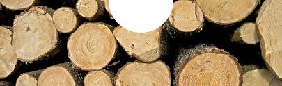 Logs and kindling for all your firewood fuel needs. Welcome To Mark Hannis Firewood Deliveries Birdlip Gloucestershire