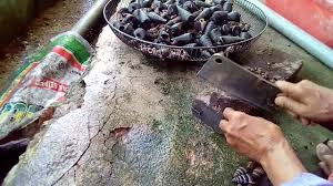 546 likes · 2 talking about this. Cara Menyiang Siput Sedut Youtube
