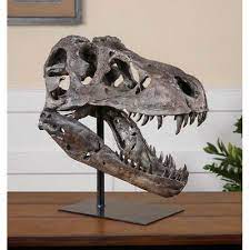 Wyvern films was founded by a group of friends, and we made these heads as fan sculptures, to show what we can do. Large Dinosaur Skull Sculpture T Rex Head Natural Looking Bone Tyrannosaurus 759526408738 Ebay