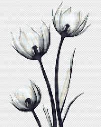 Teal white and black butterfly counted cross stitch chart pattern. Floral Cross Stitch Pattern Pdf Cool Cross Stitch Tulip Black And White Set Modern Embroidery Wedding Cross Stitch Floral Natural Wall Art In 2021 Floral Cross Stitch Floral Cross Stitch Pattern