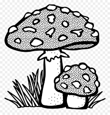 Gambar jamur untuk mewarnai download gambar mewarnai gratis. Gambar Jamur Untuk Mewarnai