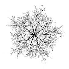 Love This Photography From Ugallery Trees In Winter No 6 By Ansen Seale Tree Photoshop Winter Trees Architecture Collage