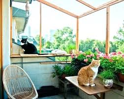 Cats always have and will continue to scratch at window screens, resulting in torn screens that pose an escape or falling hazard. Balcony Catio Cat Proofing Cat Proof Balcony Cat Patio