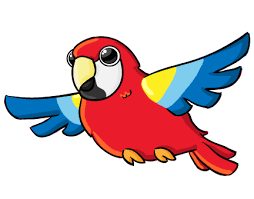 Parrots Room 6 Learning Clip Art Parrot Drawing Realistic Cartoons