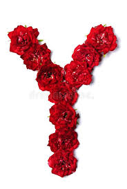 Your letter o love stock images are ready. Letter T From Flowers Of Red Rose Stock Image Image Of Inscription Bouquet 128931267