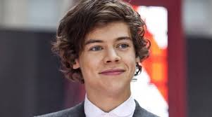 In 2016, less than a year after the band dissolved, louis tomlinson's mom died. Harry Styles Upset With Louis Tomlinson Over Fight With Zayn Malik Entertainment News The Indian Express