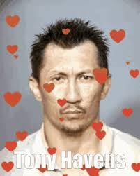 Tony Havens Cutie GIF