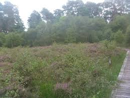 Individual queries will not always be answered. Dumfries And Galloway Photos Featured Images Of Dumfries And Galloway Scotland Tripadvisor