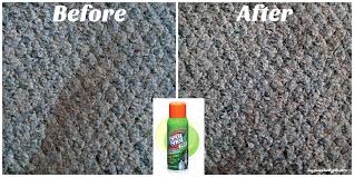 Cover the stains with a layer of baking soda. How To Use Spot Shot Pet To Clean Old Carpet Stains Pawsitively Pets