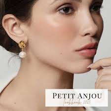 The Voice Maine-Anjou by EDJE