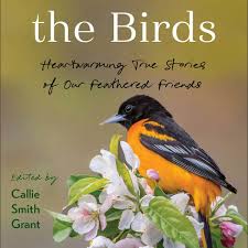 Consider the Birds