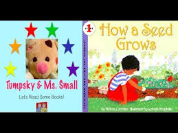 Seed Week A Seed Grows Up Books For Children Read Aloud Youtube In 2020 Growing Up Book Kids Reading Read Aloud